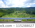 Nakata rice terraces with fresh greenery 115288027