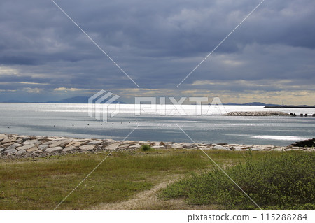 瀨戶內海波光粼粼 瀨戶內海波光粼粼 115288284