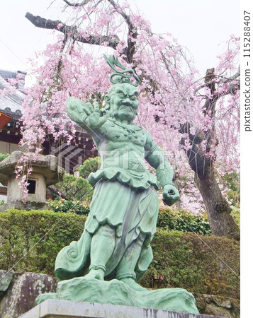 大原野正法寺仁王雕像與櫻花 115288407