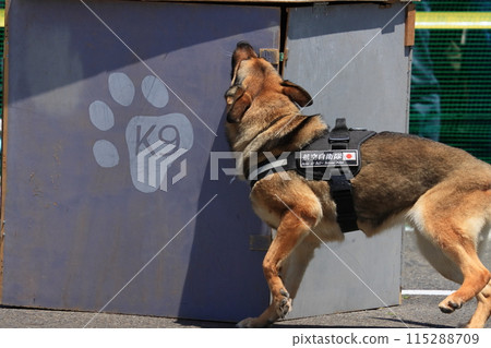 航空自衛隊警犬訓練搜尋不明人員 115288709