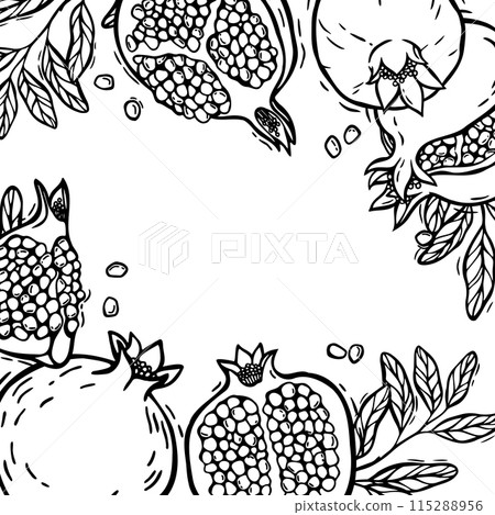 Frame with pomegranate fruits and branches with leaves. Vector botanical black and white set in linocut style. There is space for text. For the design of food and cosmetics packaging, menus Frame with pomegranate fruits and branches with leaves. Vector botanical black and white set in linocut style. There is space for text. For the design of food and cosmetics packaging, menus 115288956