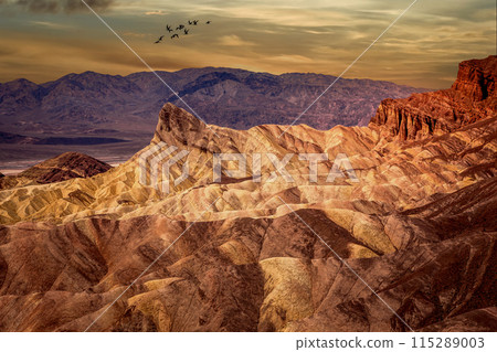 Zabriskie point, death valley, california, usa 115289003