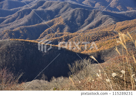 淺間隱山，登山，群馬縣 115289231