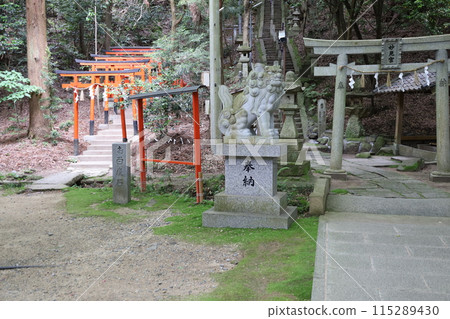 Scenery of the grounds of Hoshida Myoken Shrine in Katano City, Osaka Prefecture Scenery of the grounds of Hoshida Myoken Shrine in Katano City, Osaka Prefecture 115289430