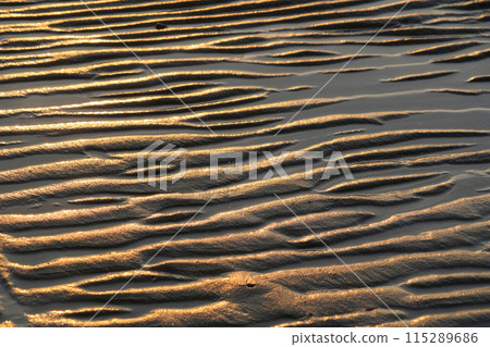 退潮時的沙灘 115289686