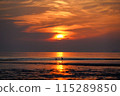 Sunset beach and silhouette of seabirds 115289850