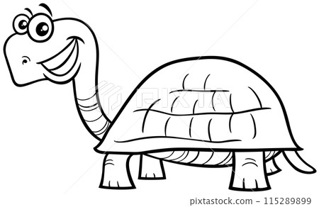 funny cartoon tortoise animal character coloring page 115289899