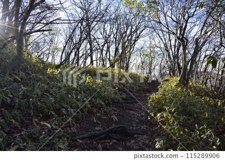 Mount Asama, mountain climbing, Gunma Prefecture 115289906