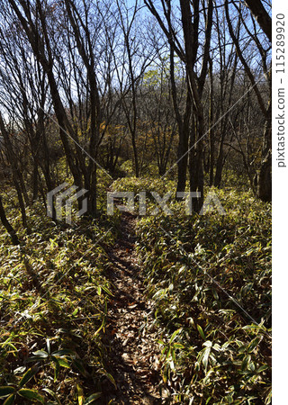 Mount Asama, mountain climbing, Gunma Prefecture 115289920