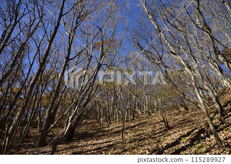 淺間隱山,登山,群馬縣 淺間隱山,登山,群馬縣 115289927