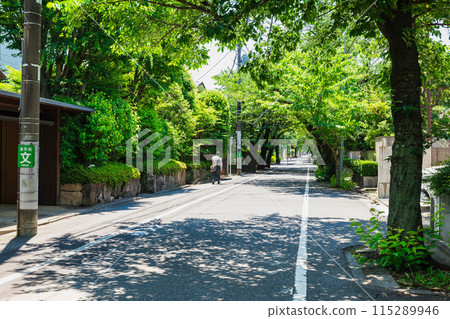 Residential area/high-end residential area image: Seijo 115289946