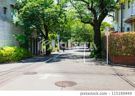 住宅區/高級住宅區形象 Seijo 115289949