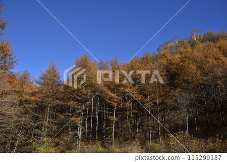 Mount Asama, mountain climbing, Gunma Prefecture 115290187