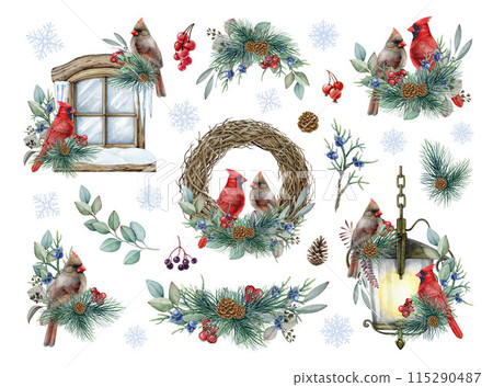 Winter season decor with red cardinal birds set. Watercolor vintage style illustration. Painted cardinal birds with natural floral elements Christmas collection. Winter decor set on white background 115290487