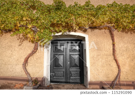 Wine cellar in a traditional winery in Wachau(Unesco world heritage site) Weissenkirchen village in Lower Austria, Austria Wine cellar in a traditional winery in Wachau(Unesco world heritage site) Weissenkirchen village in Lower Austria, Austria 115291090