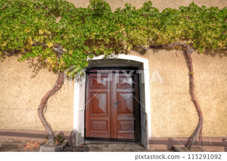 Wine cellar in a traditional winery in Wachau(Unesco world heritage site) Weissenkirchen village in Lower Austria, Austria Wine cellar in a traditional winery in Wachau(Unesco world heritage site) Weissenkirchen village in Lower Austria, Austria 115291092