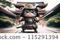 samurai, cat, warrior 115291394