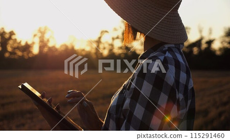 Female agronomist using digital tablet at wheat meadow at dusk. Farmer monitoring harvest at barley field at sunset. Beautiful scenic landscape. Concept of agricultural business. Slow mo Female agronomist using digital tablet at wheat meadow at dusk. Farmer monitoring harvest at barley field at sunset. Beautiful scenic landscape. Concept of agricultural business. Slow mo 115291460