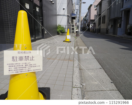 Road corn Road corn 115291966