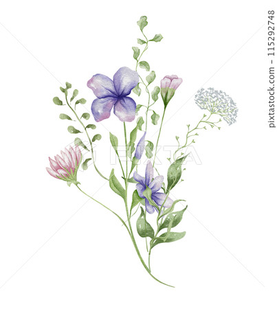 Watercolor wildflowers bouquet. Botanical arrangement of wild flowers and herbs. Summer floral composition Watercolor wildflowers bouquet. Botanical arrangement of wild flowers and herbs. Summer floral composition 115292748