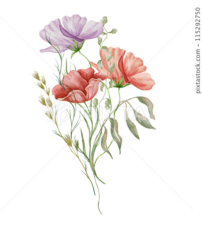 Watercolor poppy bouquet. Wildflowers arrangement purple and red poppy flowers with herbs. Summer floral composition Watercolor poppy bouquet. Wildflowers arrangement purple and red poppy flowers with herbs. Summer floral composition 115292750