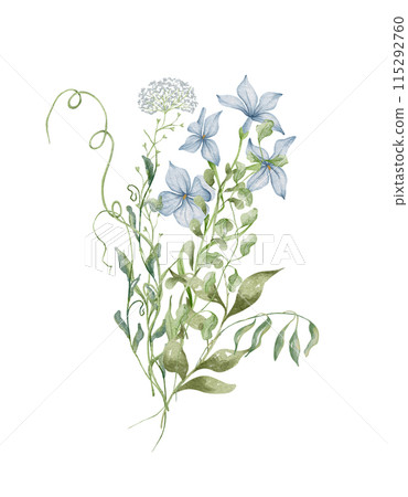 Watercolor wildflowers bouquet. Botanical arrangement of wild flowers and herbs. Summer floral composition Watercolor wildflowers bouquet. Botanical arrangement of wild flowers and herbs. Summer floral composition 115292760