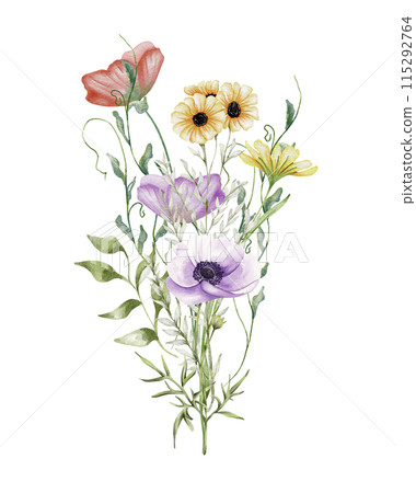 Watercolor wildflowers bouquet. Botanical arrangement of wild flowers and herbs. Summer floral composition Watercolor wildflowers bouquet. Botanical arrangement of wild flowers and herbs. Summer floral composition 115292764
