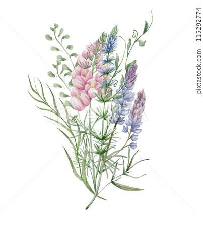 Watercolor wildflowers bouquet. Botanical arrangement of wild flowers and herbs. Summer floral composition Watercolor wildflowers bouquet. Botanical arrangement of wild flowers and herbs. Summer floral composition 115292774