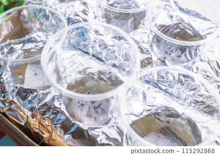 塑膠杯水耕栽培-播種 塑膠杯水耕栽培-播種 115292868