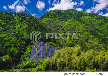 新鮮的綠色山脈和太陽能板 115292872