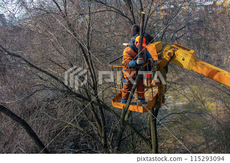 Municipal service workers stand with a chainsaw in a crane basket and trim dangerous trees Municipal service workers stand with a chainsaw in a crane basket and trim dangerous trees 115293094