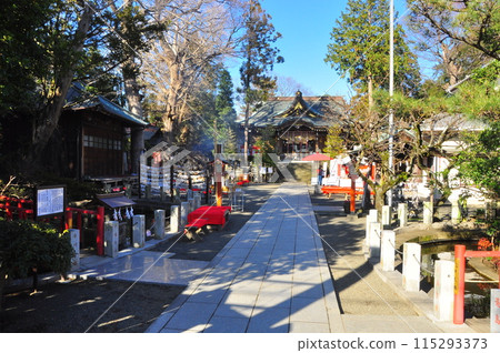 神奈川縣大磯町六勝神社的新年風景 115293373