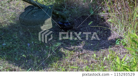 A man cuts and mows the grass. Grass cutting work. Worker mows lawn with grass 115293529