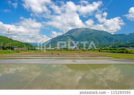 晴空萬裡的春天,東海道本線列車在伊吹山腳下行駛 晴空萬裡的春天,東海道本線列車在伊吹山腳下行駛 115293591