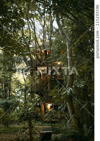 Wooden tree cabin Wooden tree cabin 115293596
