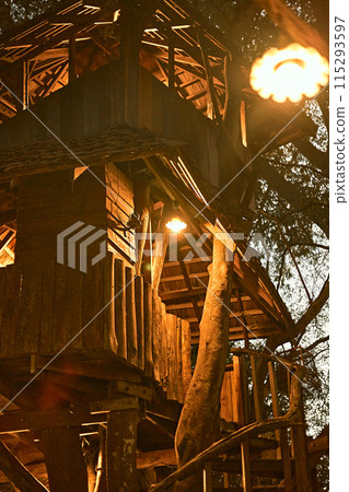 Wooden tree cabin Wooden tree cabin 115293597