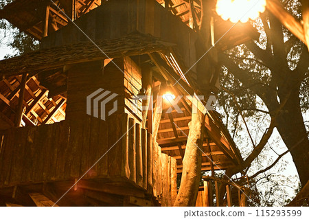 Wooden tree cabin 115293599
