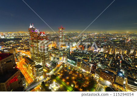 從東京都廳大樓看西新宿的夜景 115294054