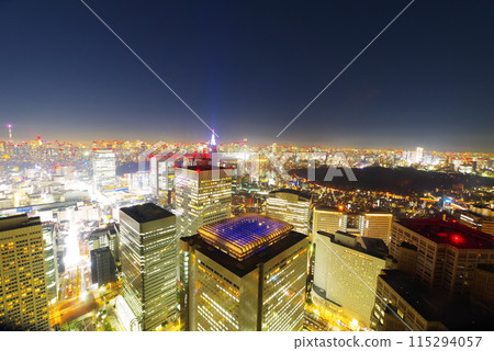 Nishi-Shinjuku at night as seen from the Tokyo Metropolitan Government Building 115294057