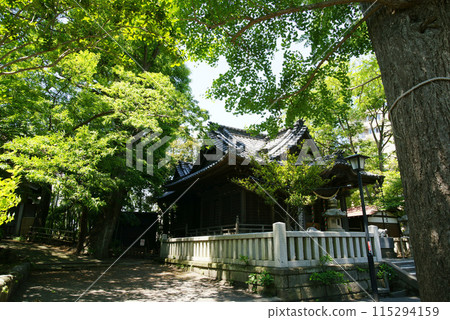 逗子市龜岡八幡宮 逗子市龜岡八幡宮 115294159