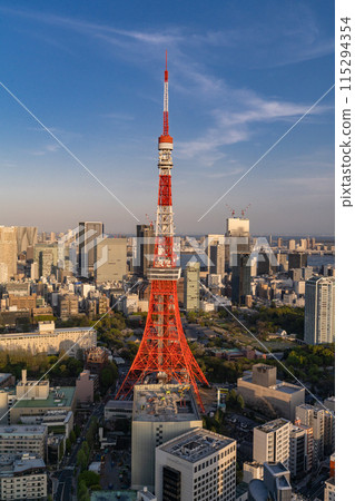 《Tokyo》Tokyo city evening view, center of Tokyo 115294354