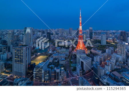 《東京》東京城市夜景/東京市中心 115294365