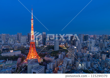 《Tokyo》Tokyo city night view, center of Tokyo 115294370