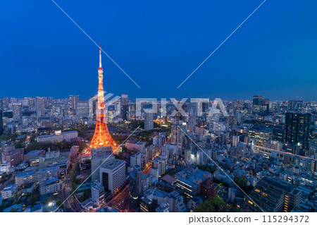 《東京》東京城市夜景/東京市中心 《東京》東京城市夜景/東京市中心 115294372