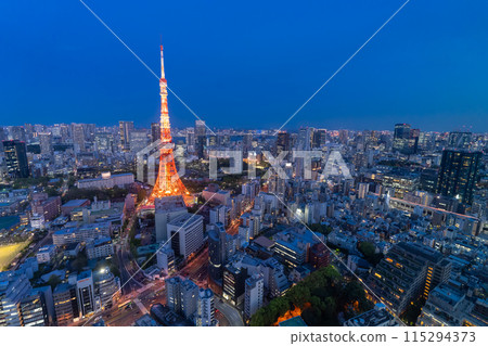 《Tokyo》Tokyo city night view, center of Tokyo 《Tokyo》Tokyo city night view, center of Tokyo 115294373