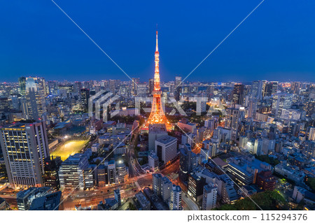 《Tokyo》Tokyo city night view, center of Tokyo 115294376