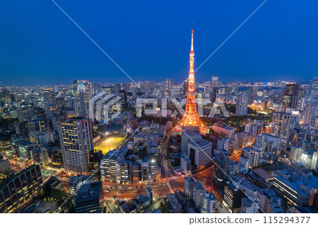 《Tokyo》Tokyo city night view, center of Tokyo 115294377