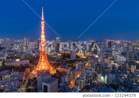 《Tokyo》Tokyo city night view, center of Tokyo 115294379