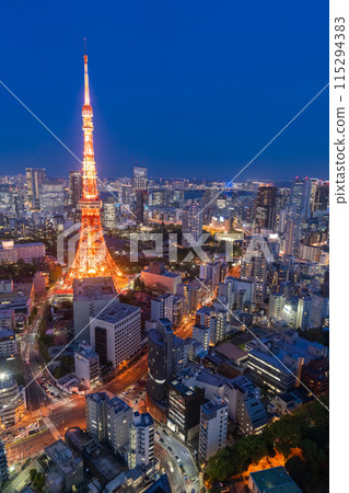 《東京》東京城市夜景/東京市中心 115294383