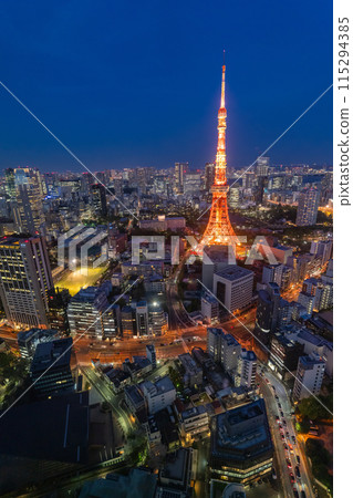 《東京》東京城市夜景/東京市中心 115294385